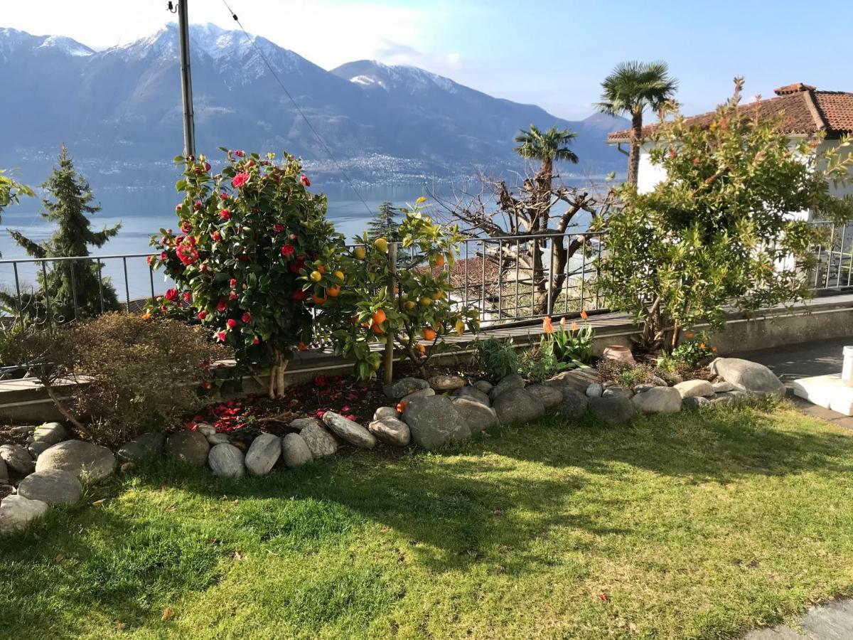 Camera Con Bagno Privato E Giardino Brione sopra Minusio Dış mekan fotoğraf